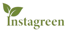 InstaWordPress
