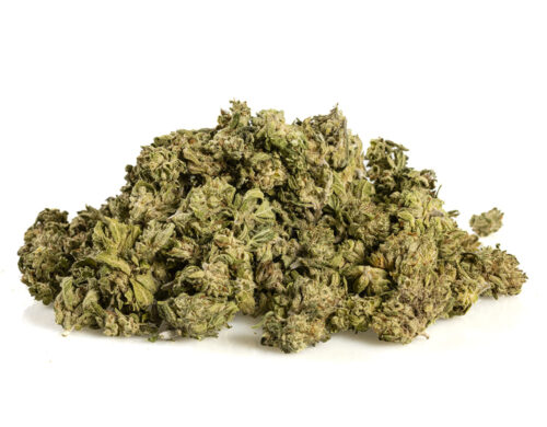Bubble Gum Small Buds
