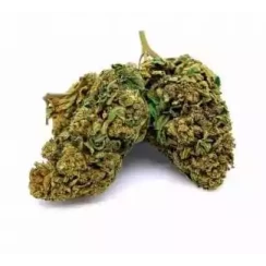 Blueberry