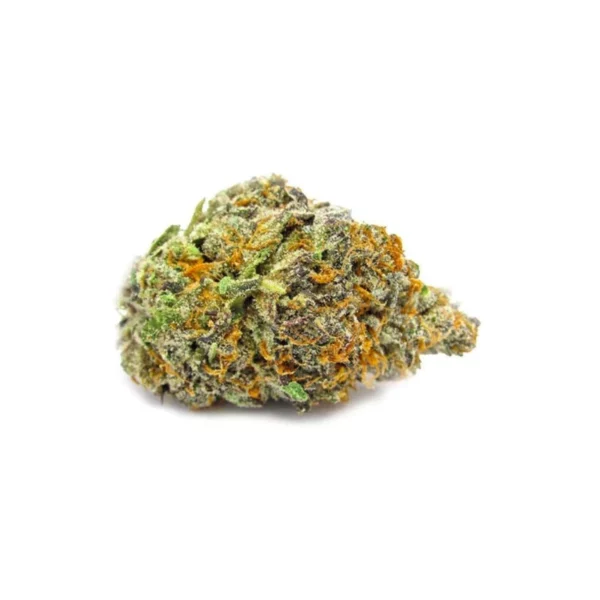 Gelato
