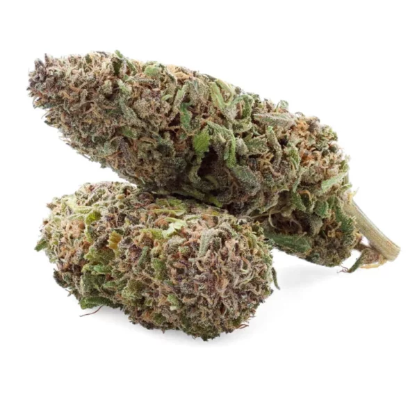 Purple Punch