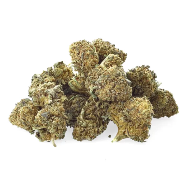 Purple Kush Small Buds